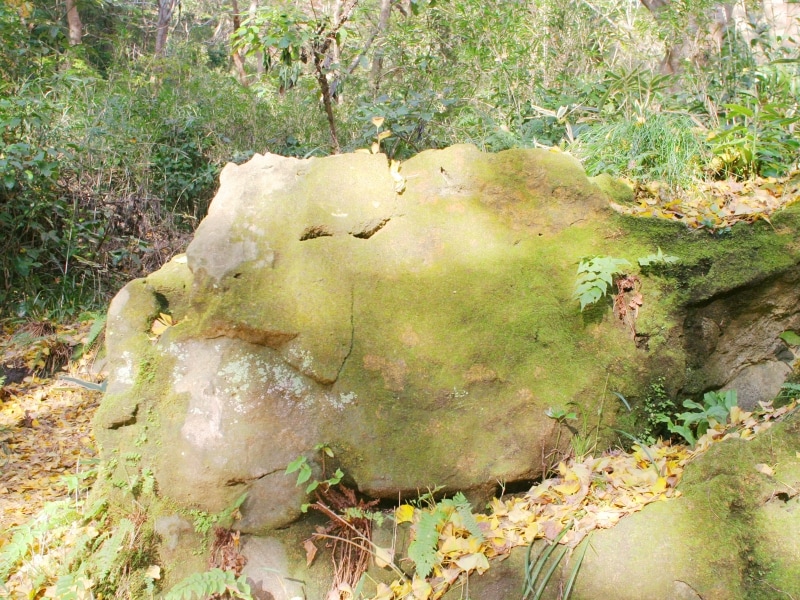 獅子の顔のような岩を探してみて