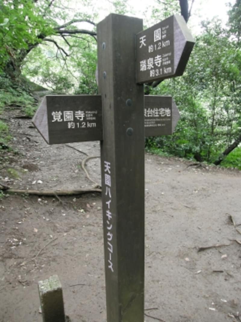 覚園寺方面へ降りる目印となる分岐点の道標