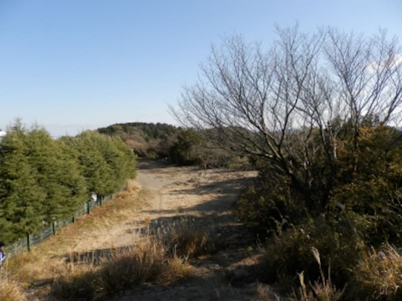 鎌倉で最も高い大平山の山頂