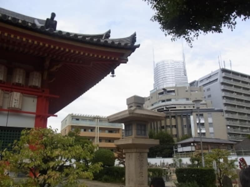 夕陽丘、愛染堂