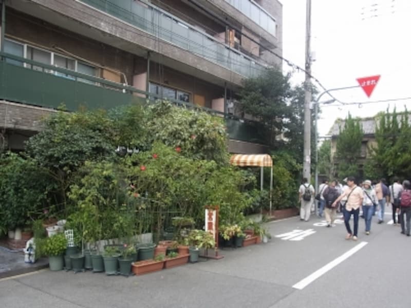 喫茶店、天王寺