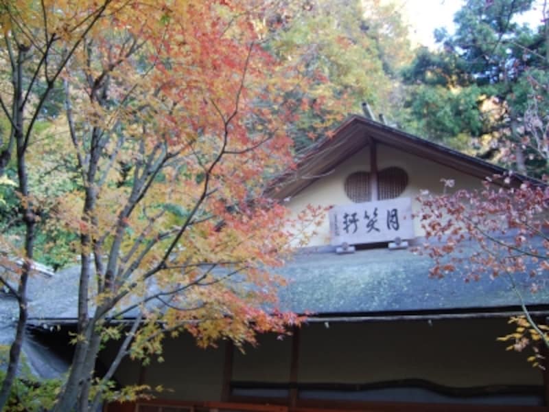 明月院 紅葉のグラデーション(2008年11月30日撮影)