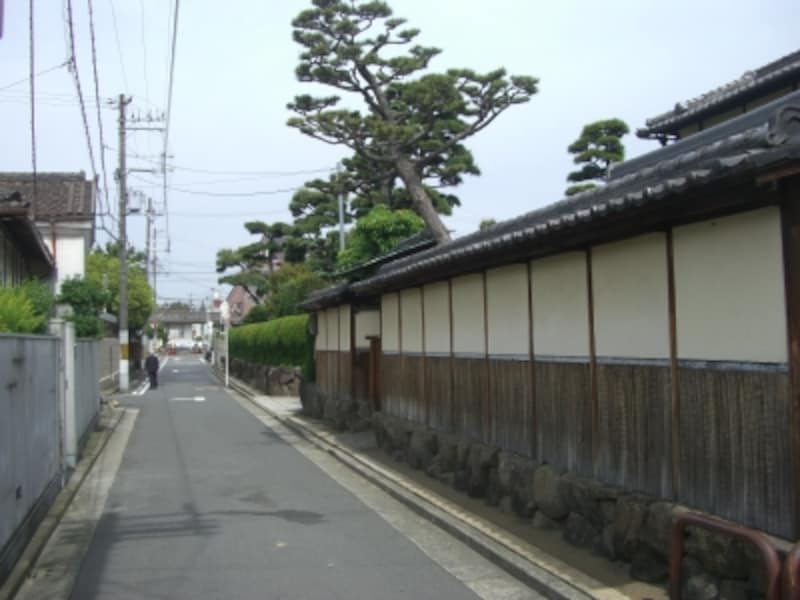 お庭に「松林」のあるお宅が・・・。まるで武家屋敷の様だ。