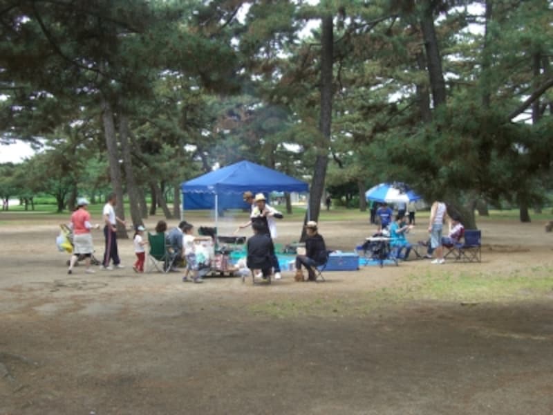 BBQをしているグループも多い。火器使用はOK、しかし直火はダメ。