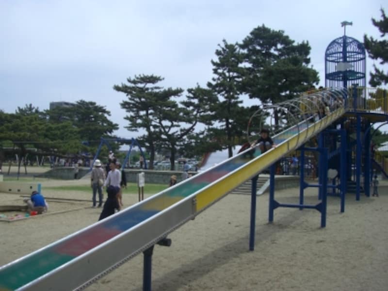 豊富にある遊具類。アスレチックぽいものもある。