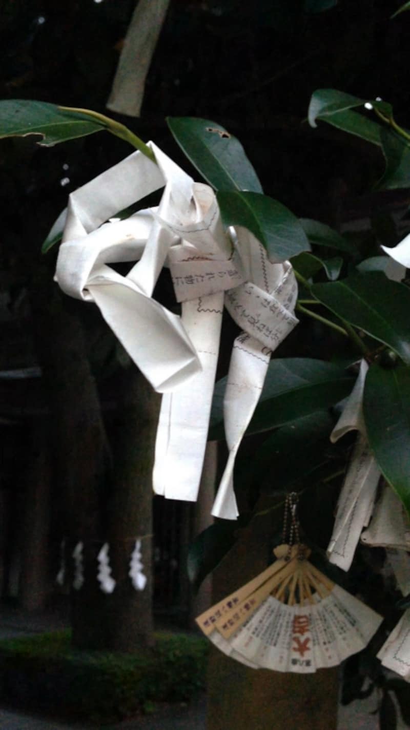 結んだ人の願いが伝わってきそう