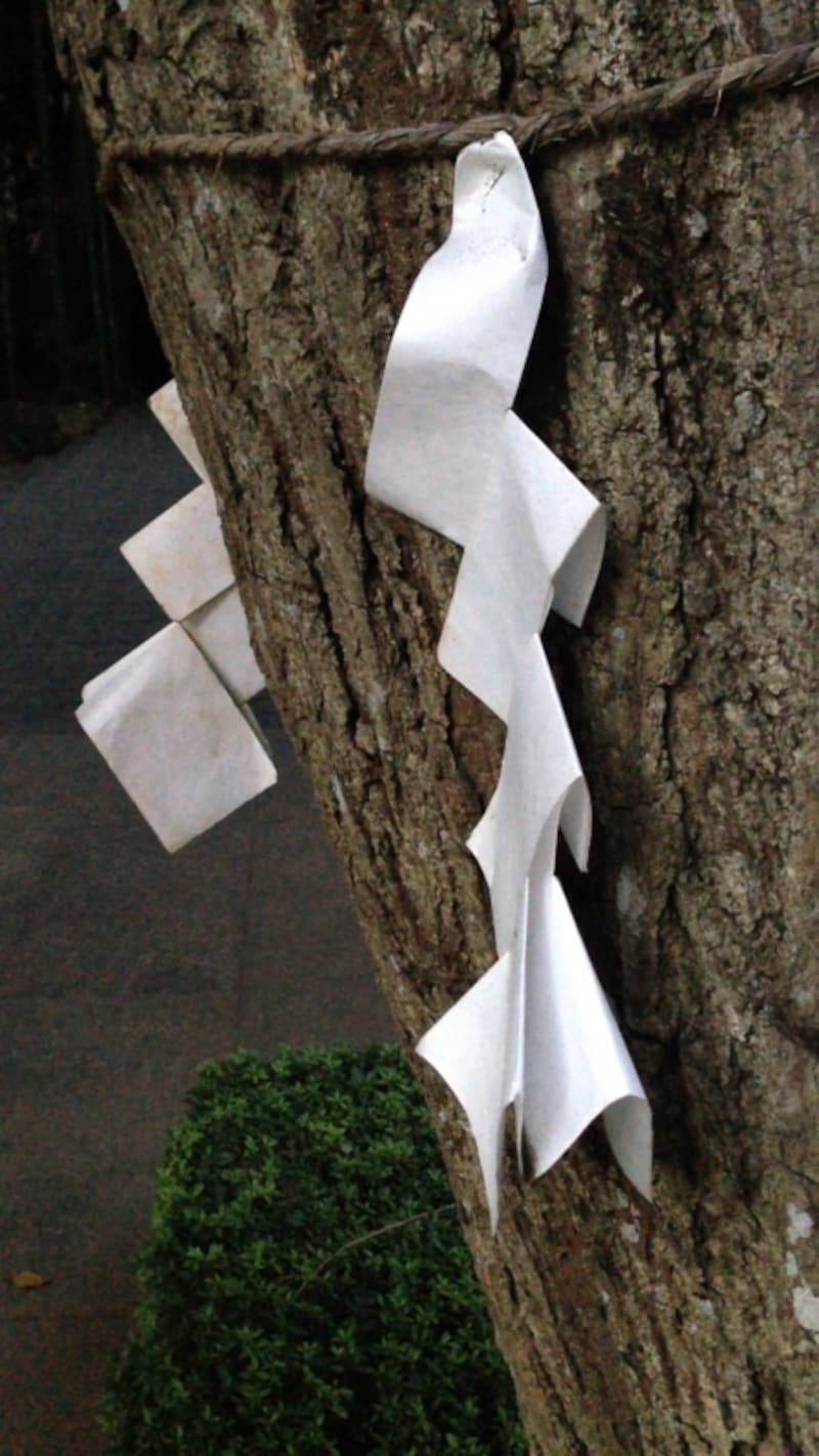 ご神木なども、神社を代表するアイテム