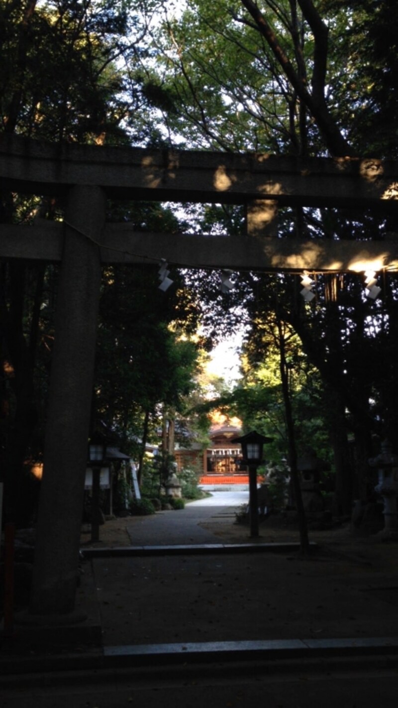 選択画像を削除します