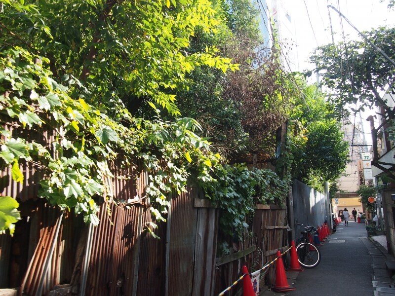 壁の途中に銭湯とコインランドリーの入口がある