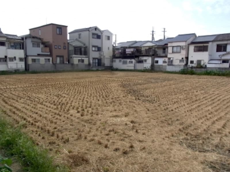 正雀、岸辺、大阪学院大学