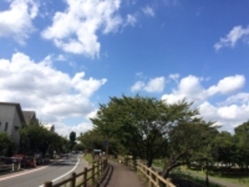 sky