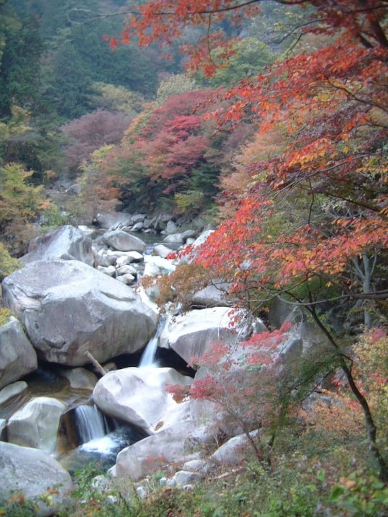 昇仙峡の紅葉・黄葉(1)