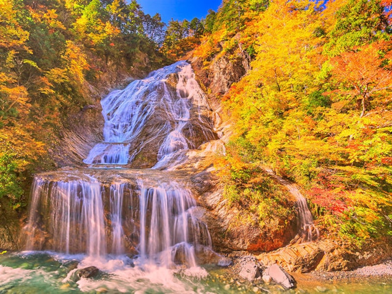 白山白川郷ホワイトロード・姥ヶ滝の紅葉