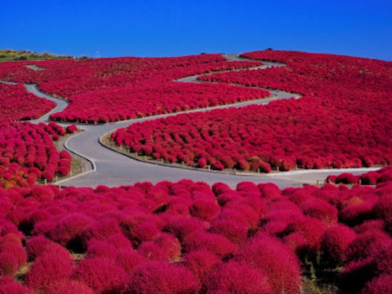 これぞ絶景 全国紅葉名所ランキング15選 紅葉スポット All About これぞ絶景 全国紅葉名所ランキング15選 紅葉スポット All About