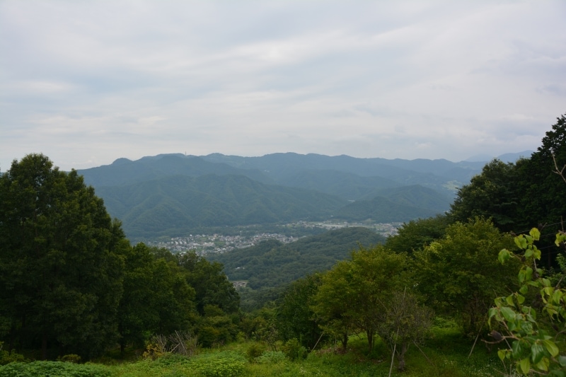 宝登山頂からの光景