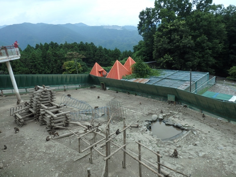 宝登山小動物園のサル園