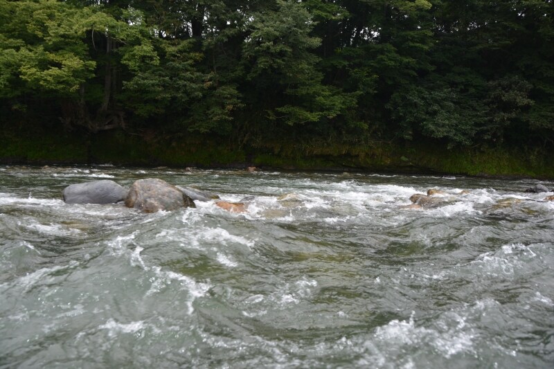 長瀞ライン下りBの急流