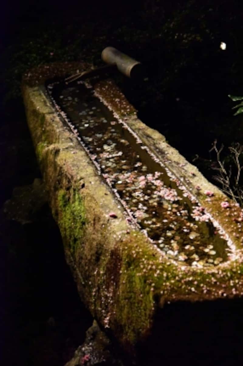 庭園には、豊臣秀吉の寄進という「一文字手水鉢」がある