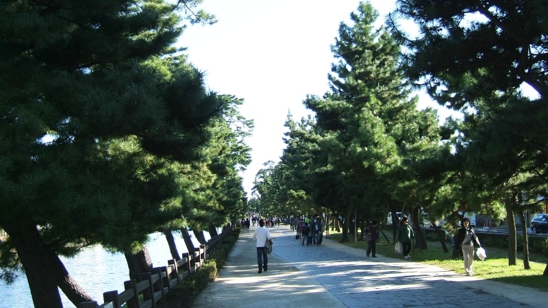 草加松原の遊歩道