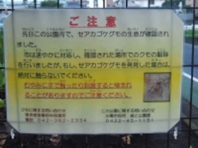 セアカゴケグモに注意の看板
