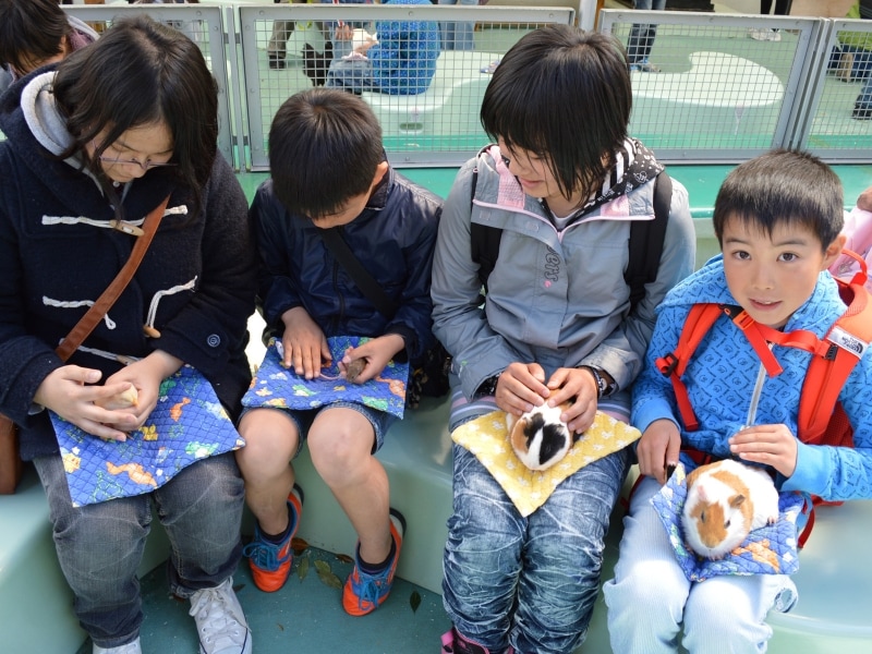 なかよし広場では小動物と触れ合えます(画像提供:野毛山動物園)