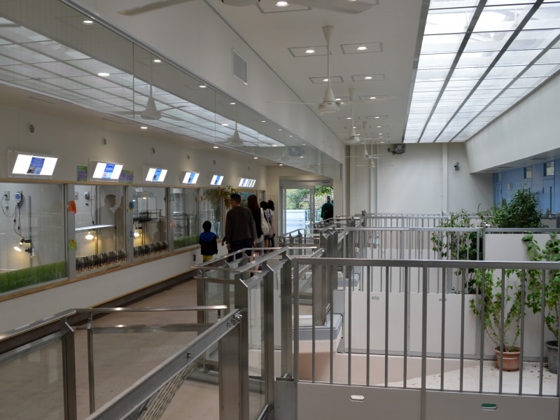 2014年8月にリニューアルした新爬虫類館(画像提供:野毛山動物園)