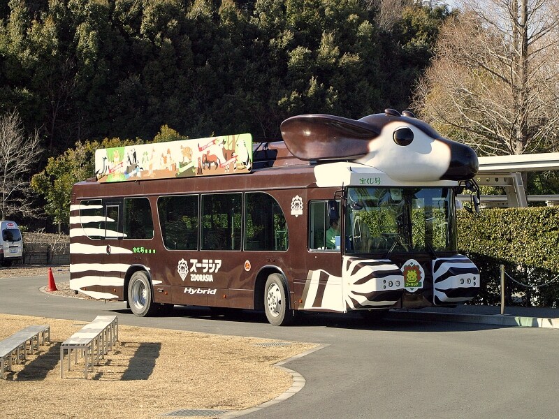 園内を走るバス(サバンナ号、ズッピ)に乗ってラクラク移動! 画像は土日祝に運行するズッピ(2013年2月24日撮影)