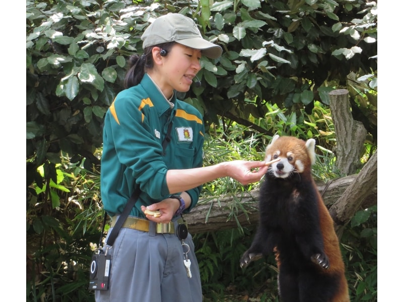 各園で毎日行われる動物ガイドイベントは要チェック(画像提供:ズーラシア)