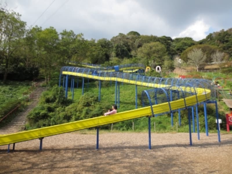 動物園に隣接する植物区にある100mのローラーすべり台（2012年10月27日撮影）