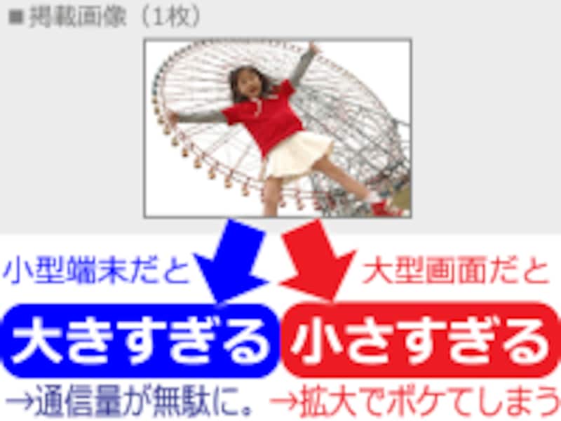 画像が1枚だけだと、大きすぎたり小さすぎたりしてしまう