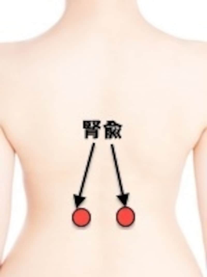 津液の流れを改善して不眠の症状を軽減する腎兪