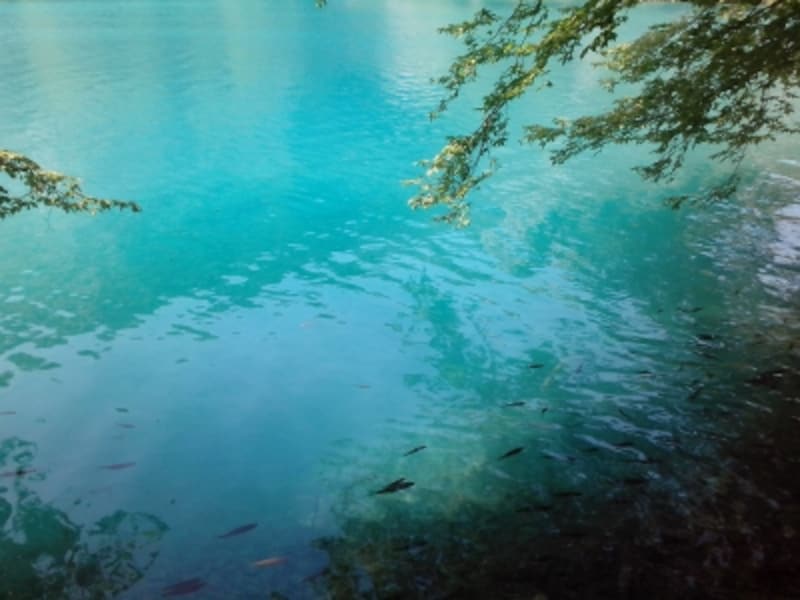 プリトヴィツェ