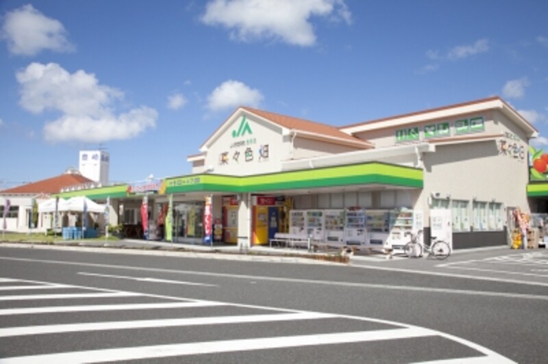 toyosaki