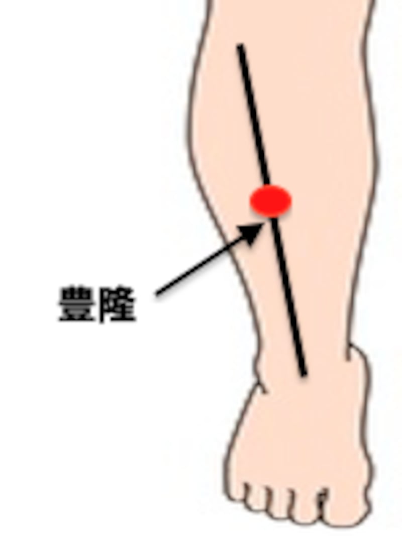 脾のエネルギーを補い痰を排出する豊隆