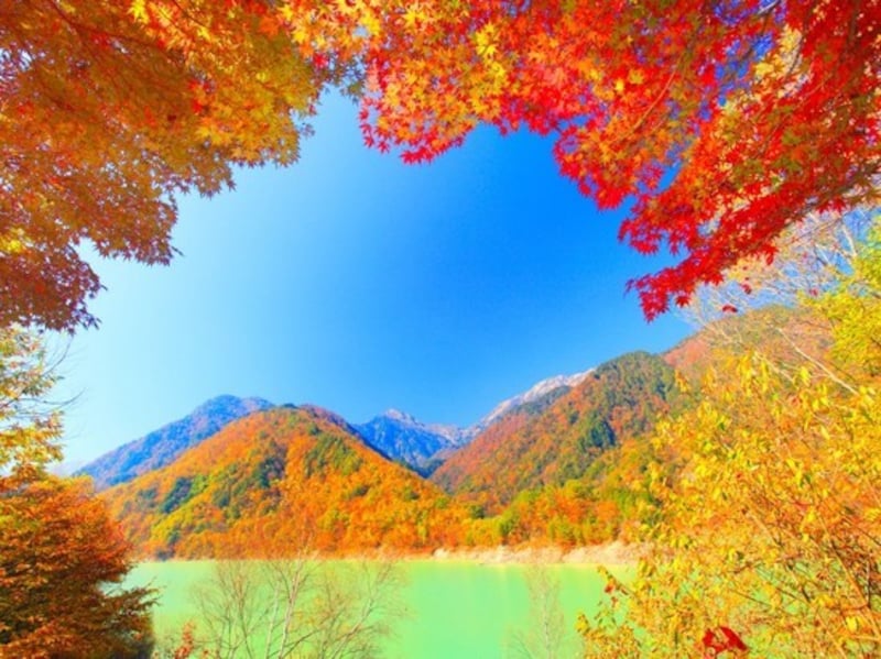 高瀬渓谷・龍神湖の紅葉