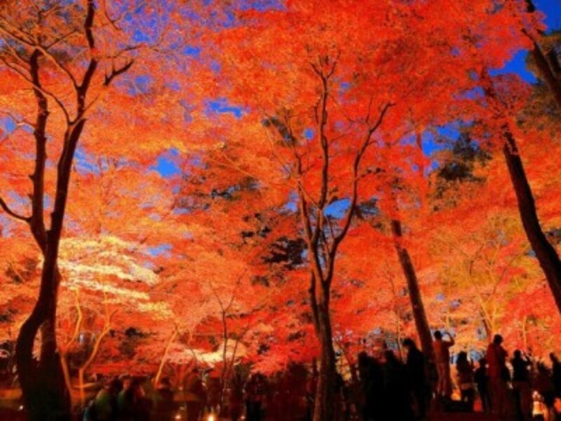 東海から北海道まで 東日本のおすすめ紅葉名所10選 紅葉スポット All About
