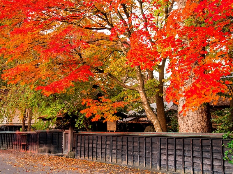 紅葉の角館武家屋敷街