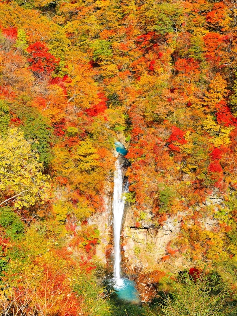 那須駒止の滝の紅葉