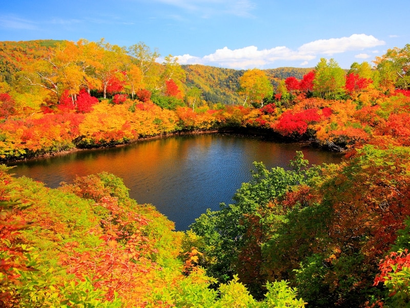 大雪 高原温泉エゾ沼の紅葉