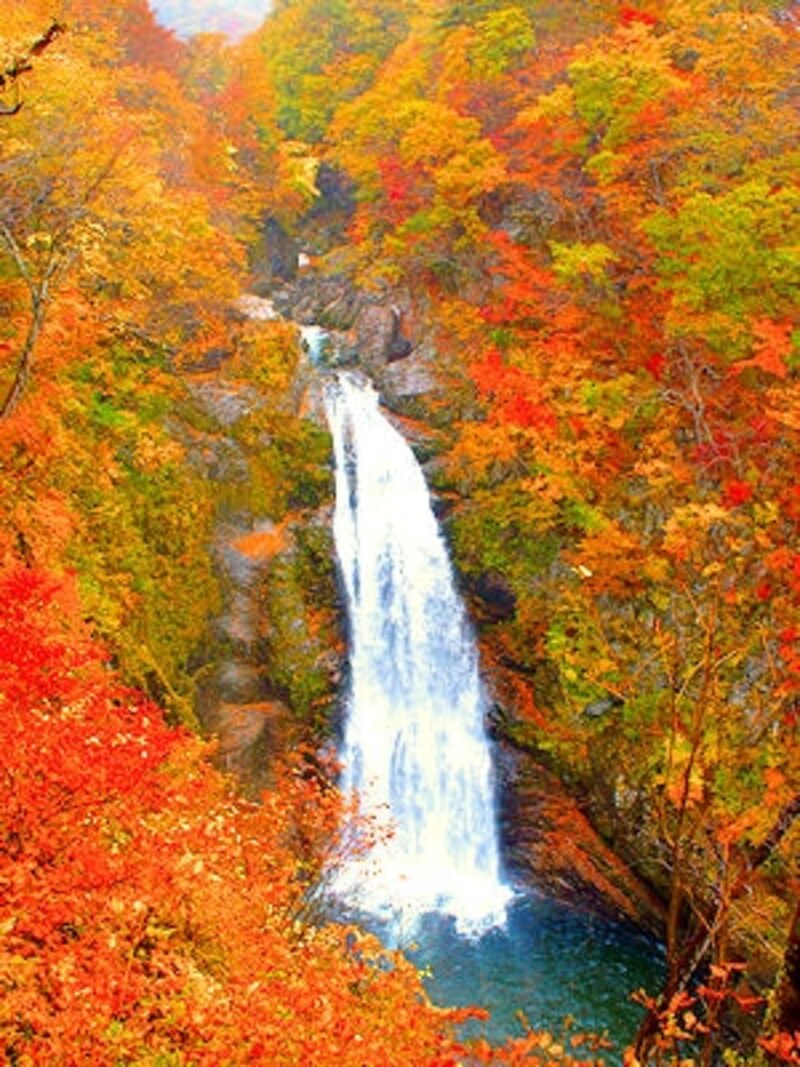 秋保大滝の紅葉