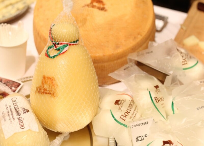 北海道、ファットリアビオさんのチーズたち