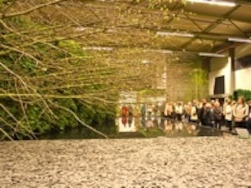 どちらが地面？と一瞬悩む