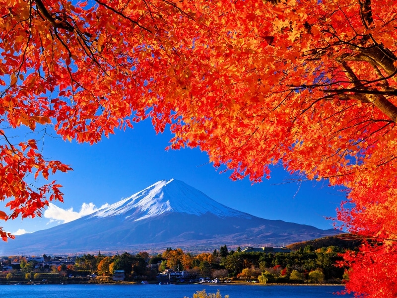富士山と紅葉と河口湖