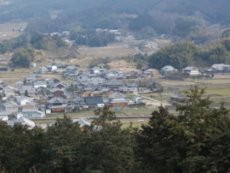 甘樫丘展望台から飛鳥の里を眺める
