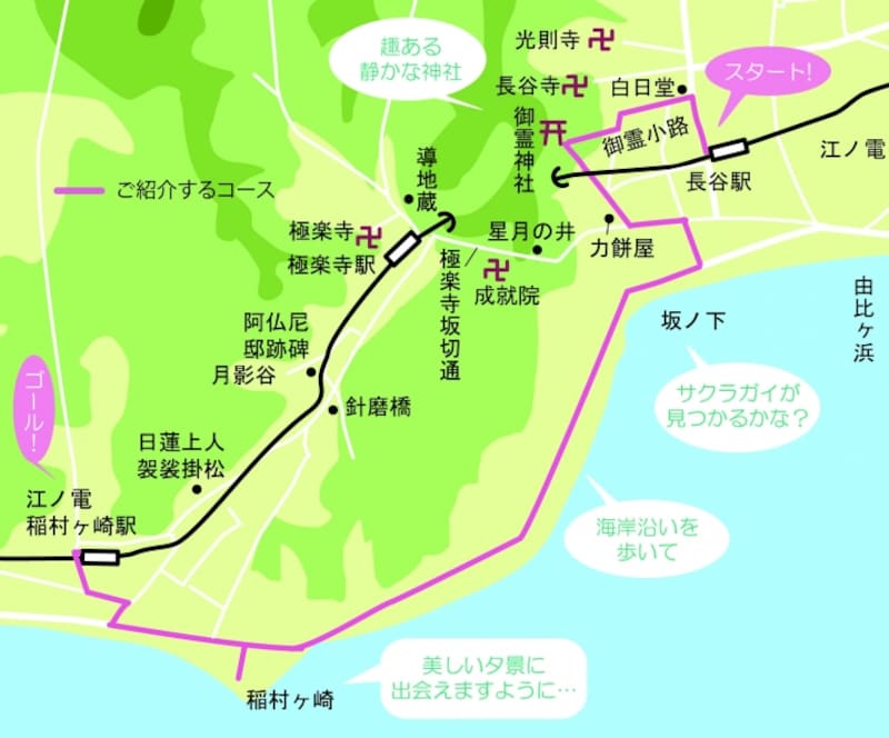 ご紹介するコースの地図