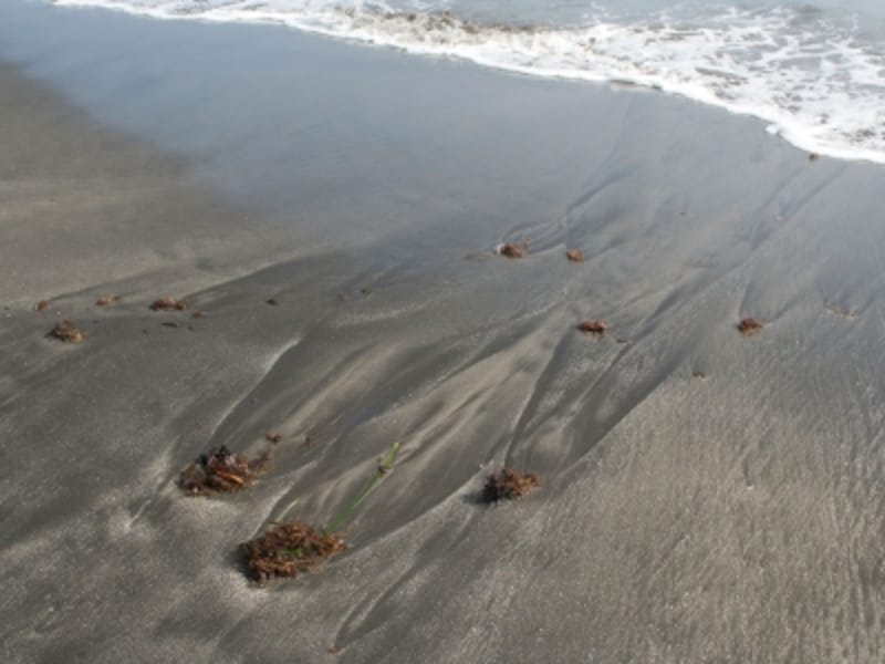 稲村ヶ崎辺りの砂は、砂鉄を多く含み黒い色