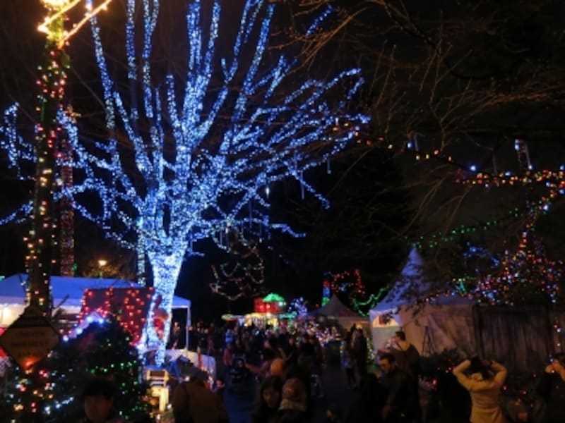 バスを降りるとイルミネーションが輝く園内はすぐそば！