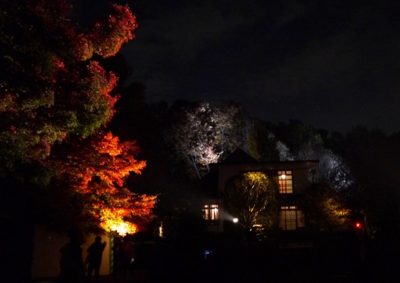 江戸東京たてもの園の紅葉とたてもののライトアップ
