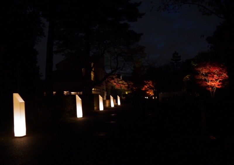 江戸東京たてもの園の紅葉ライトアップ