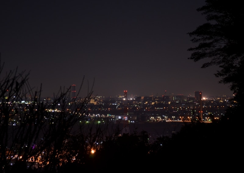 京王百草園からみた街の夜景